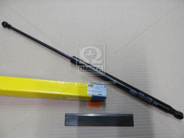 430719095600 MAGNETI MARELLI
